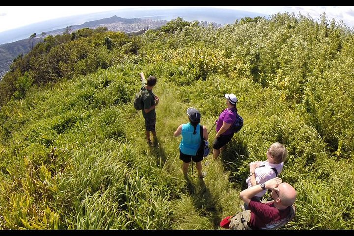Oahu Volcanic Rainforest Hiking Adventure - Photo 1 of 6